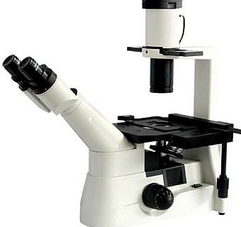 microscope inversé pour biologie