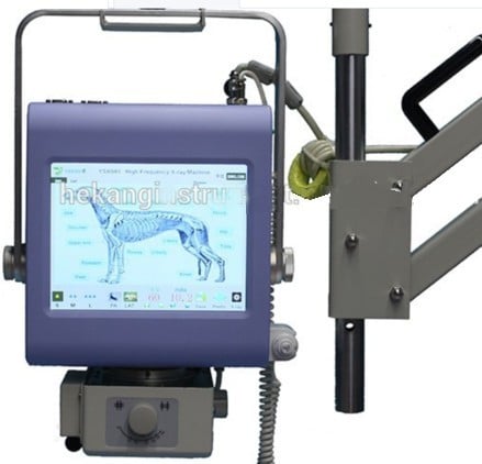 Appareil-photo numérique endoscope vétérinaire portable pour